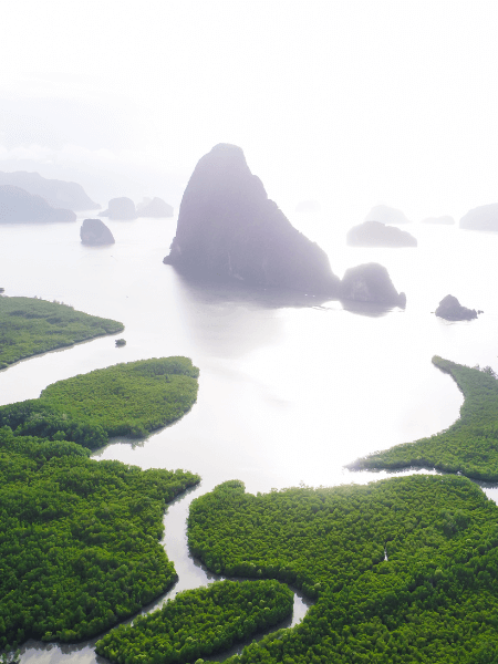 Borneo Holiday Packages From Australia