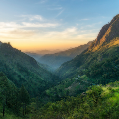 Nuwara Eliya Tea Plantations