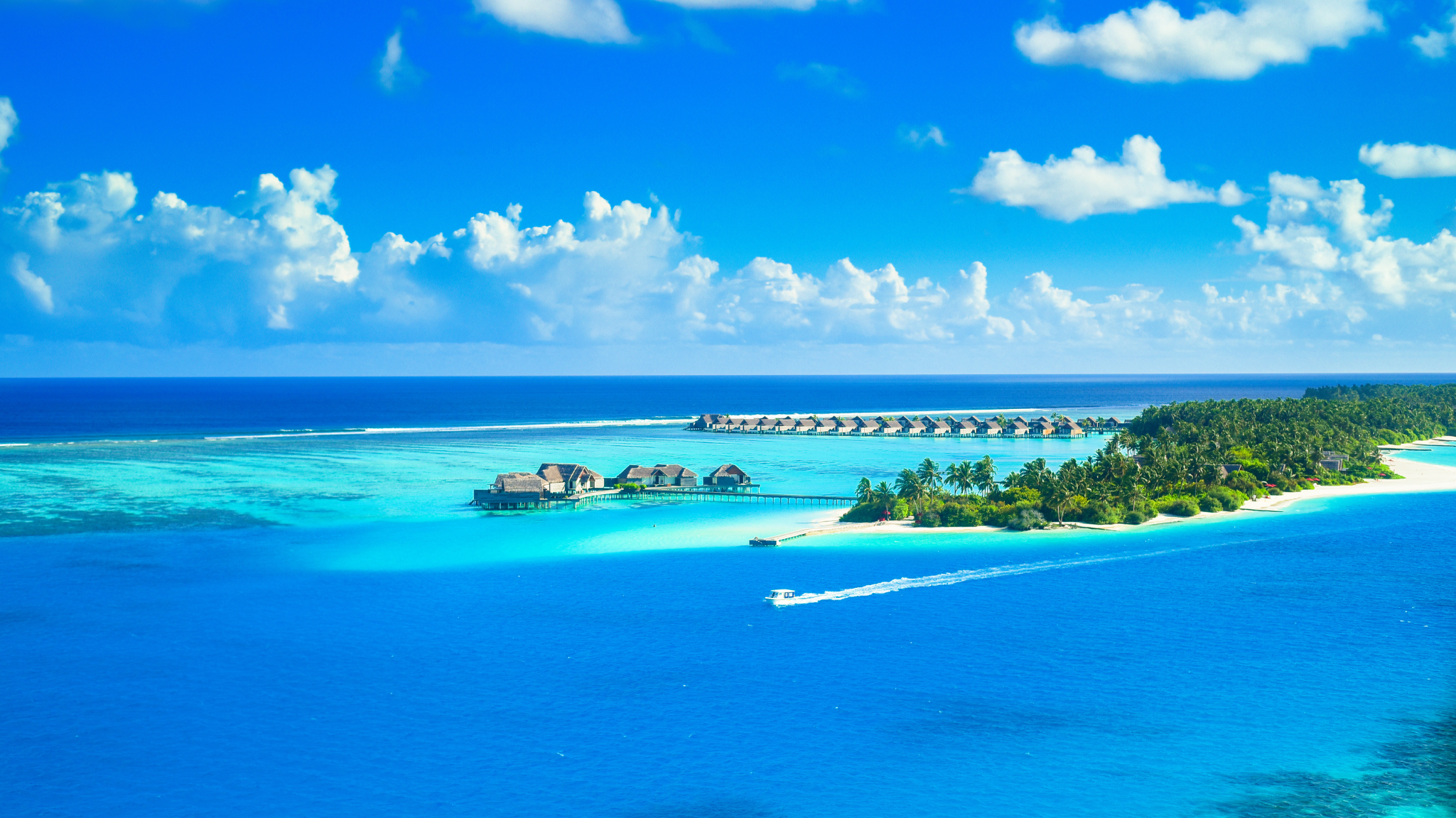 c_green_bg