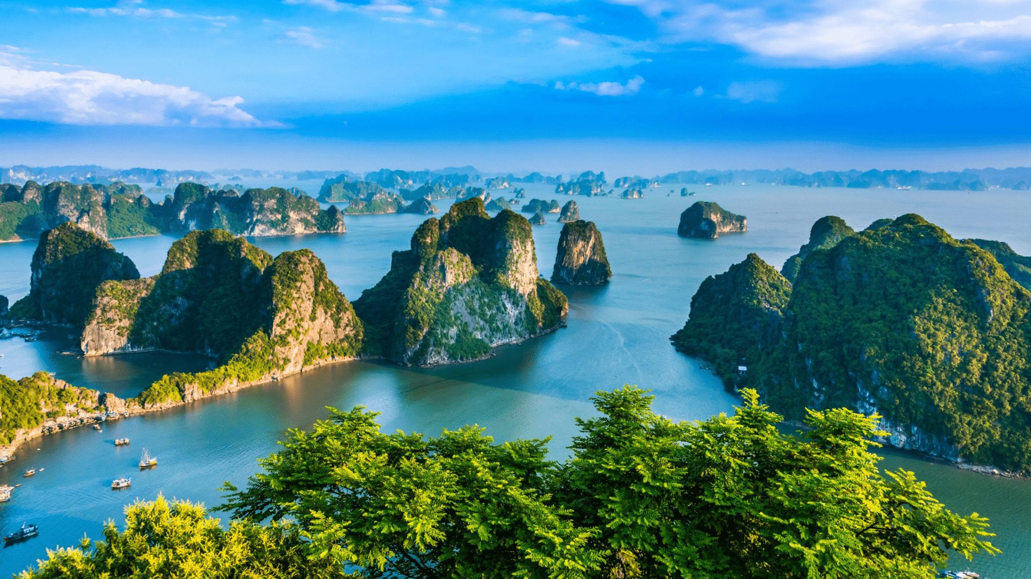 Vietnam Travel Packages