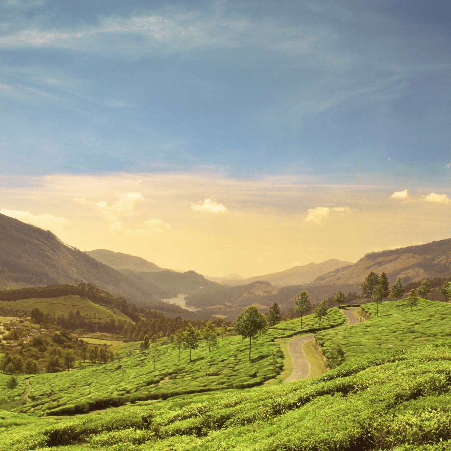 Munnar