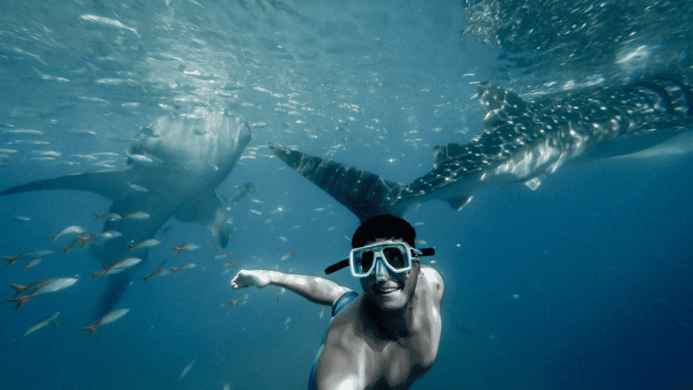 7 travel bucket list ideas to do before you turn 40
