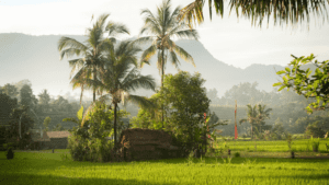Sidemen Rice Fields,Beautiful Place to visit in Bali for couples