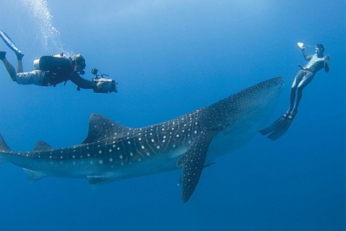 Best time to visit Maldives