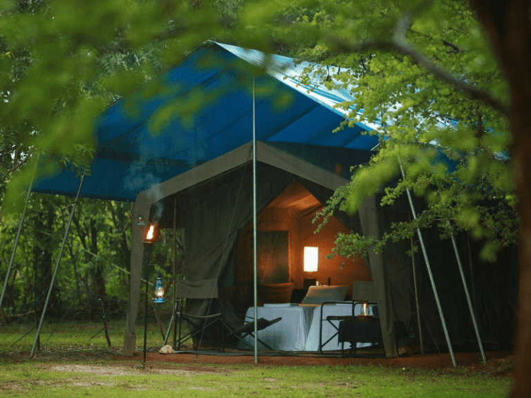 Big Game Camp, Yala