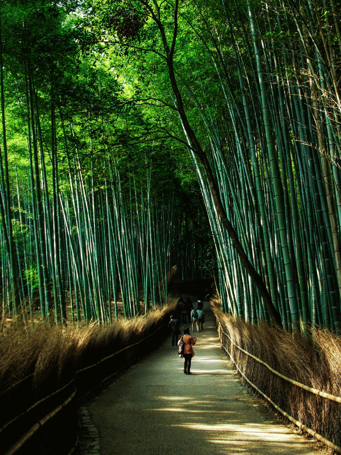 Kyoto Gardens