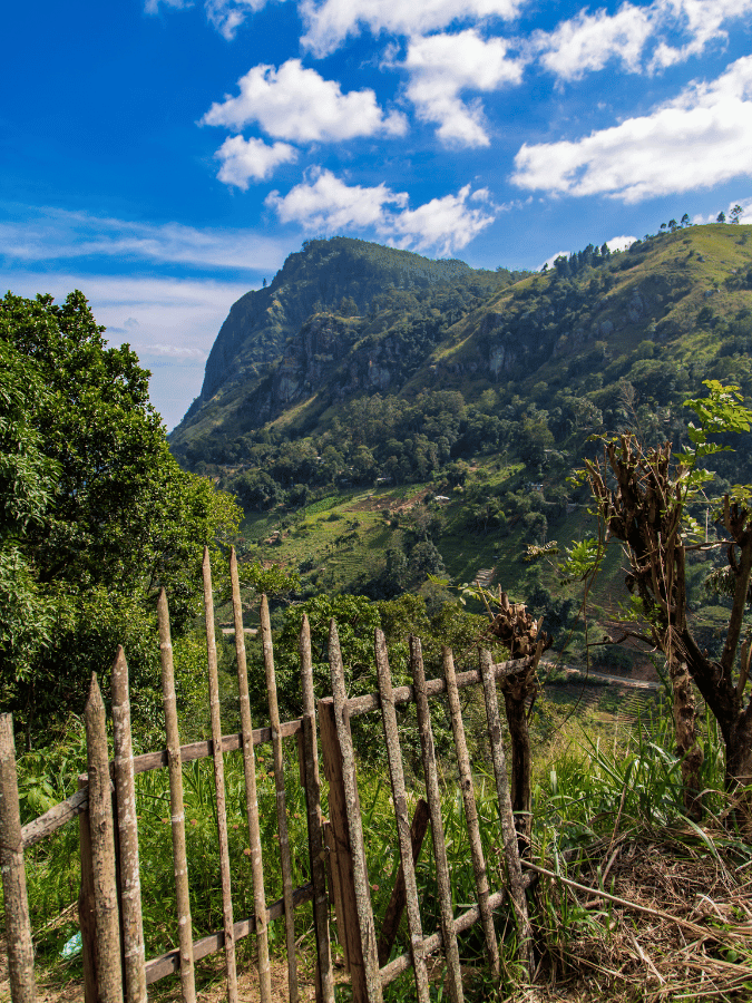 Sri Lanka Nuwara Eliya