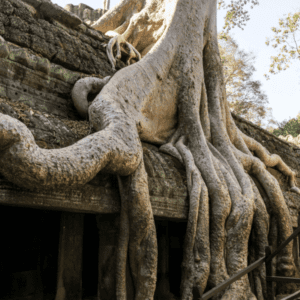 Ta Prohm