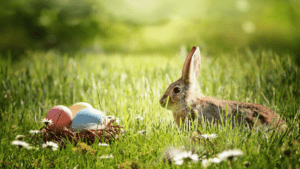 Where to travel in April, best places to visit in Easter, Easter festivals, Easter traditions 