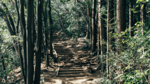 Tokyo, Japan: Mt. Takao Omotesando Hiking Trail