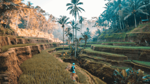 Sustainable travel
