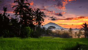 Ubud: less touristy places in Bali