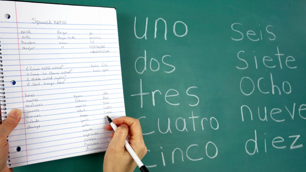 How to Learn a New Language for your Next Trip