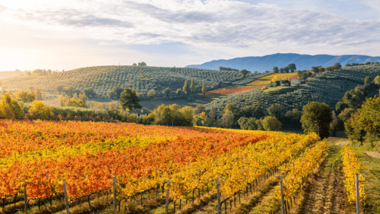 Italy Holiday Packages From Australia