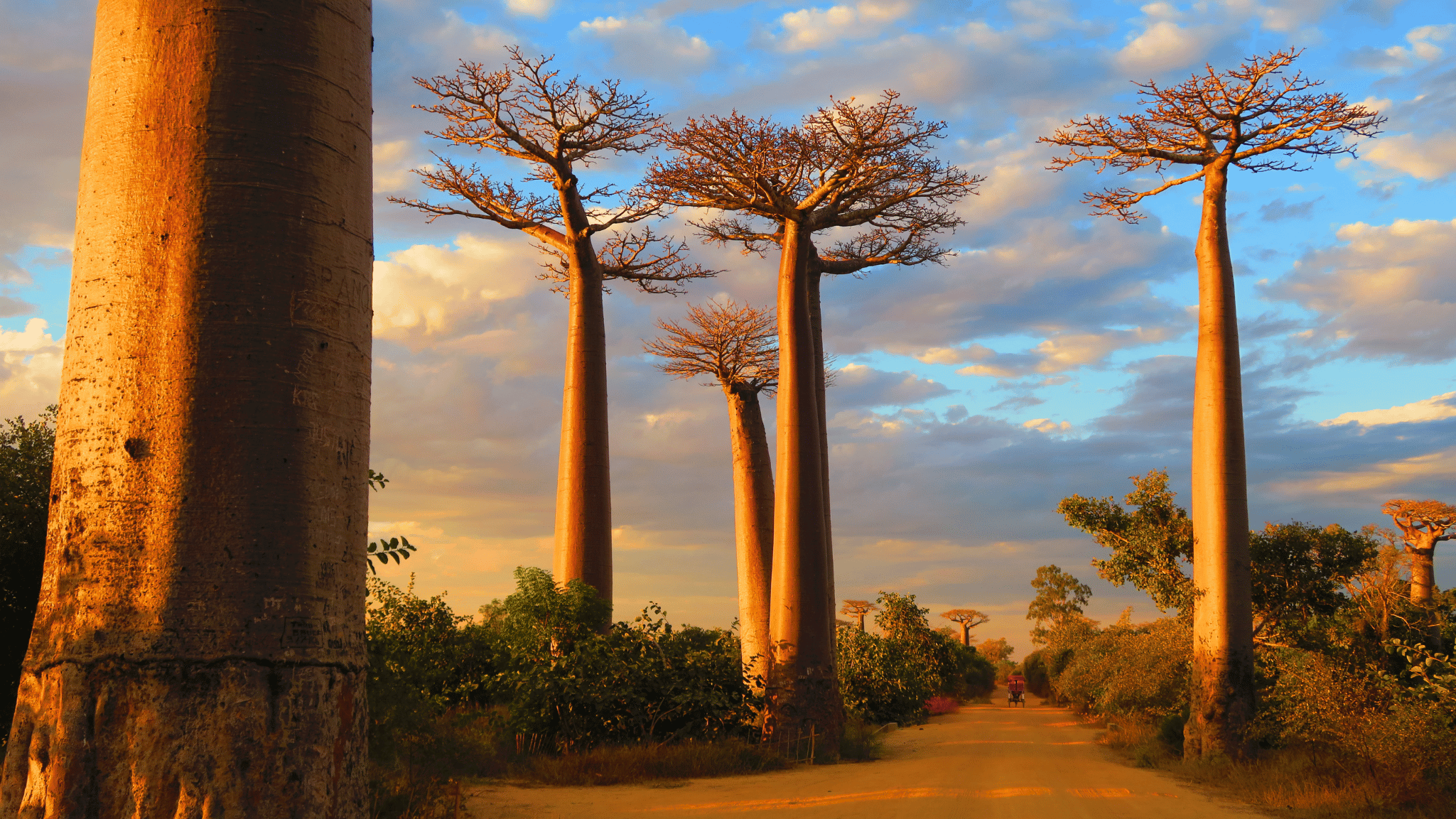 holiday destinations to discover