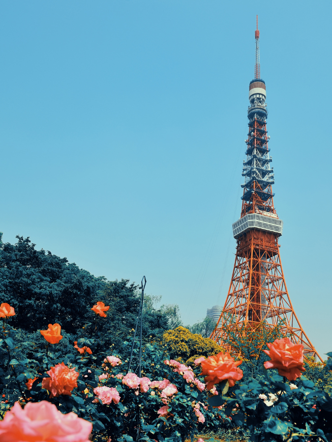 Japan Explorer