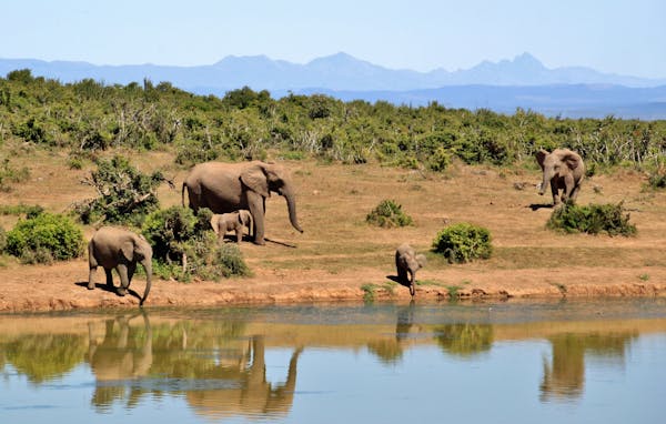 All-inclusive private safari South Africa