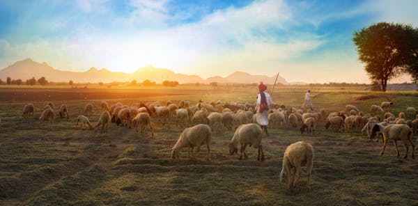 Australian Tours To India With Luxury Packages