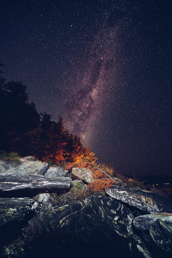Best New Zealand Tour Packages 2025